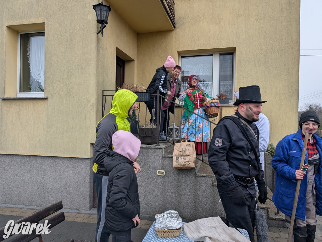 Wesoła ferajna wodzi niedźwiedzia w Kopienicy. Bery 2025