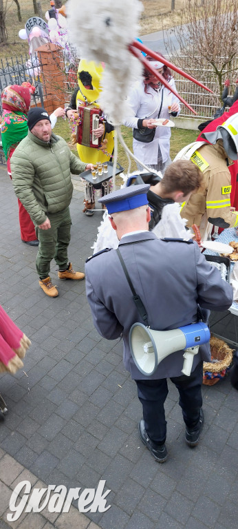 Wesoła ferajna wodzi niedźwiedzia w Kopienicy. Bery 2025