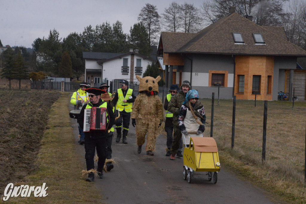 Z niedźwiedziem przez Połomię. Bery 2025