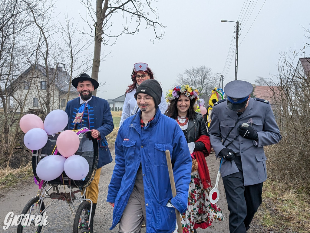 Wesoła ferajna wodzi niedźwiedzia w Kopienicy. Bery 2025