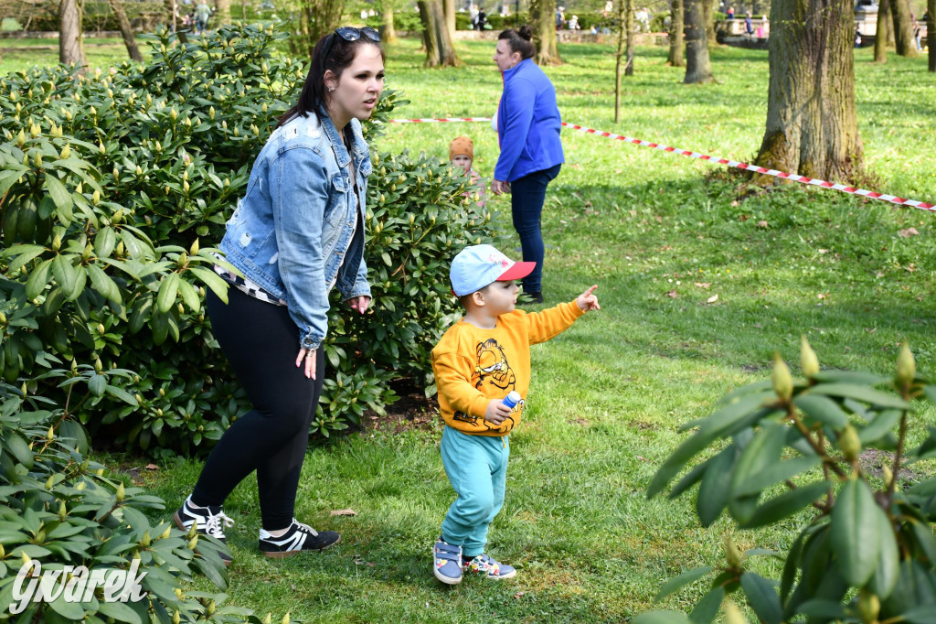 Świerklaniec. Wielkanocne szukanie jajek