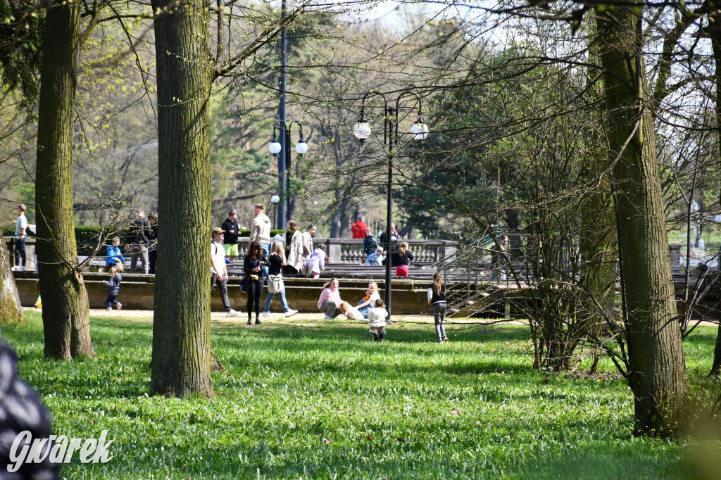 Świerklaniec. Wielkanocne szukanie jajek