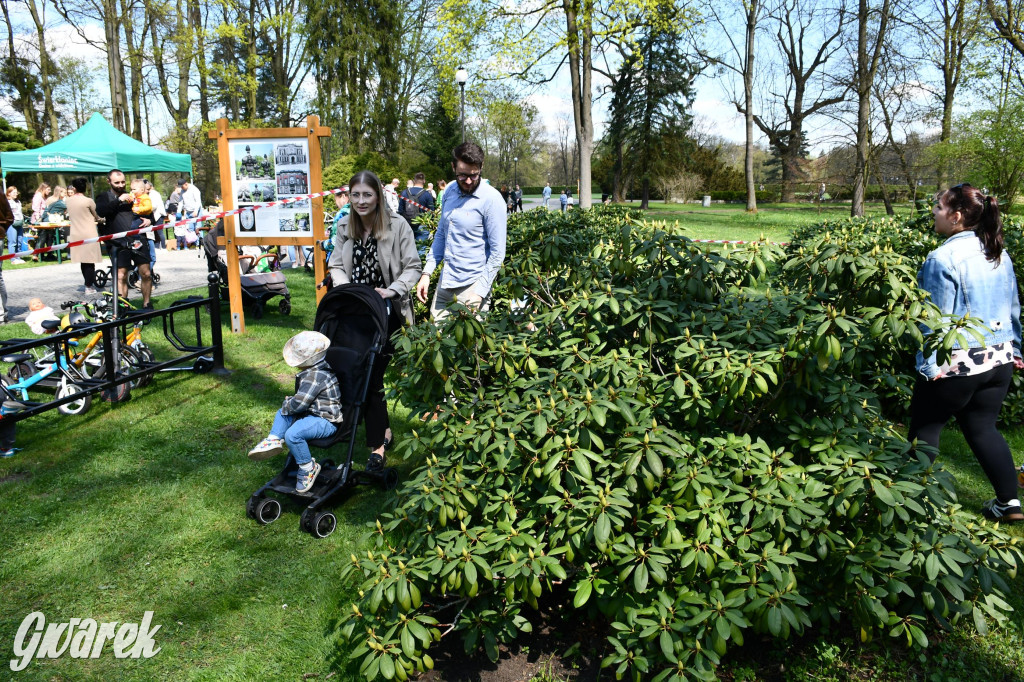 Świerklaniec. Wielkanocne szukanie jajek