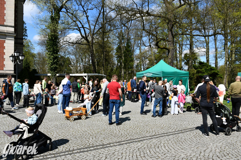 Świerklaniec. Wielkanocne szukanie jajek