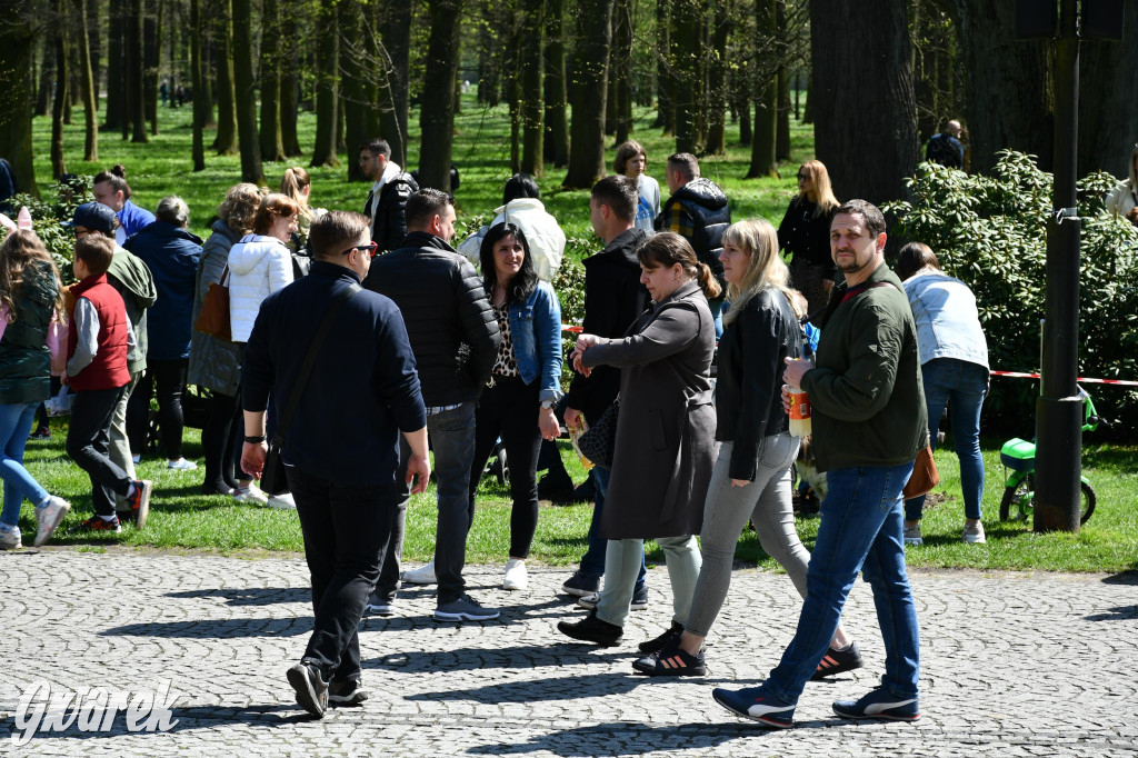 Świerklaniec. Wielkanocne szukanie jajek