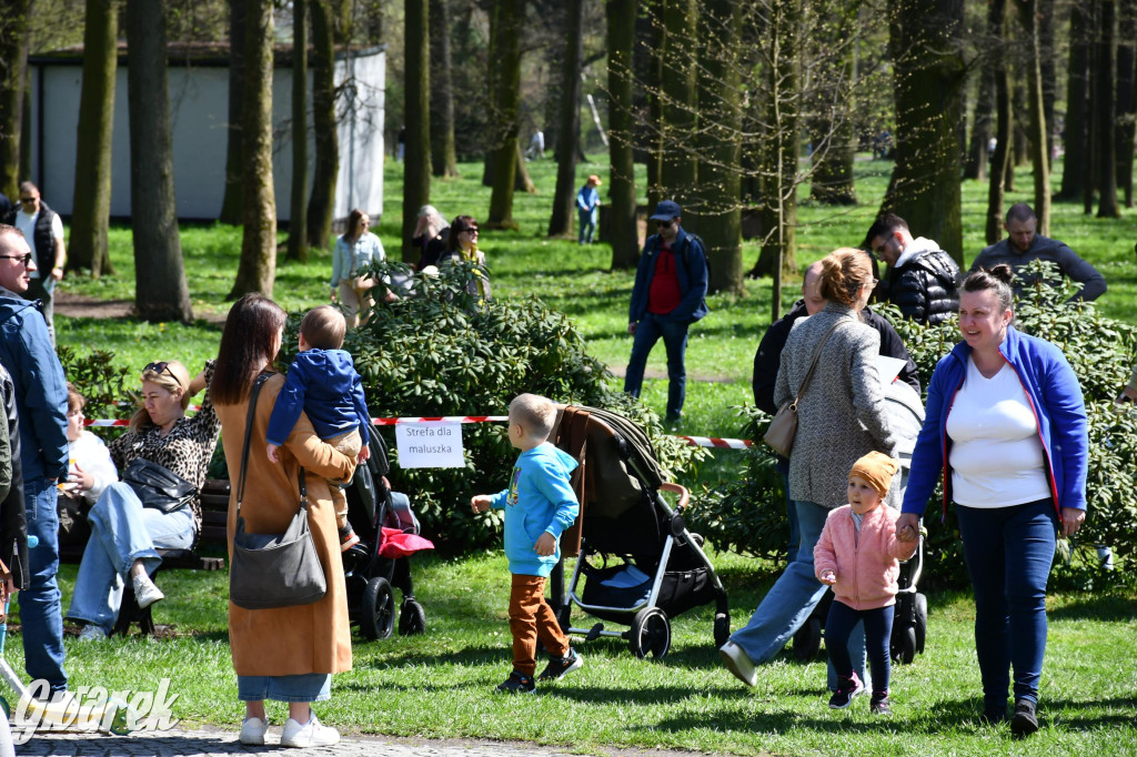Świerklaniec. Wielkanocne szukanie jajek