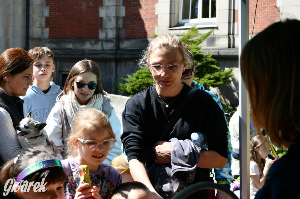 Świerklaniec. Wielkanocne szukanie jajek