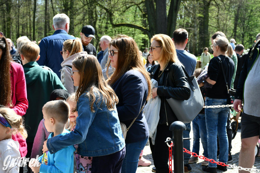 Świerklaniec. Wielkanocne szukanie jajek