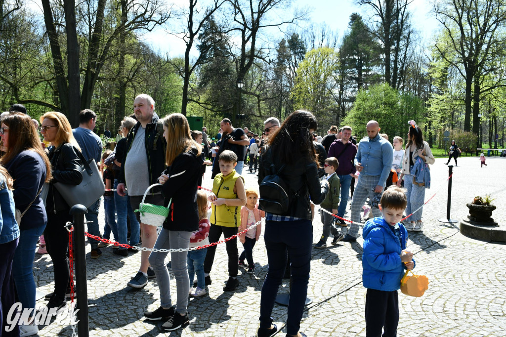Świerklaniec. Wielkanocne szukanie jajek
