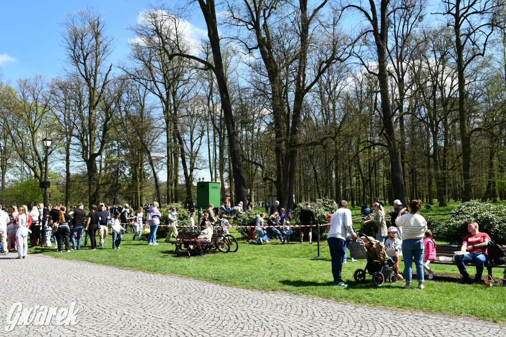 Świerklaniec. Wielkanocne szukanie jajek