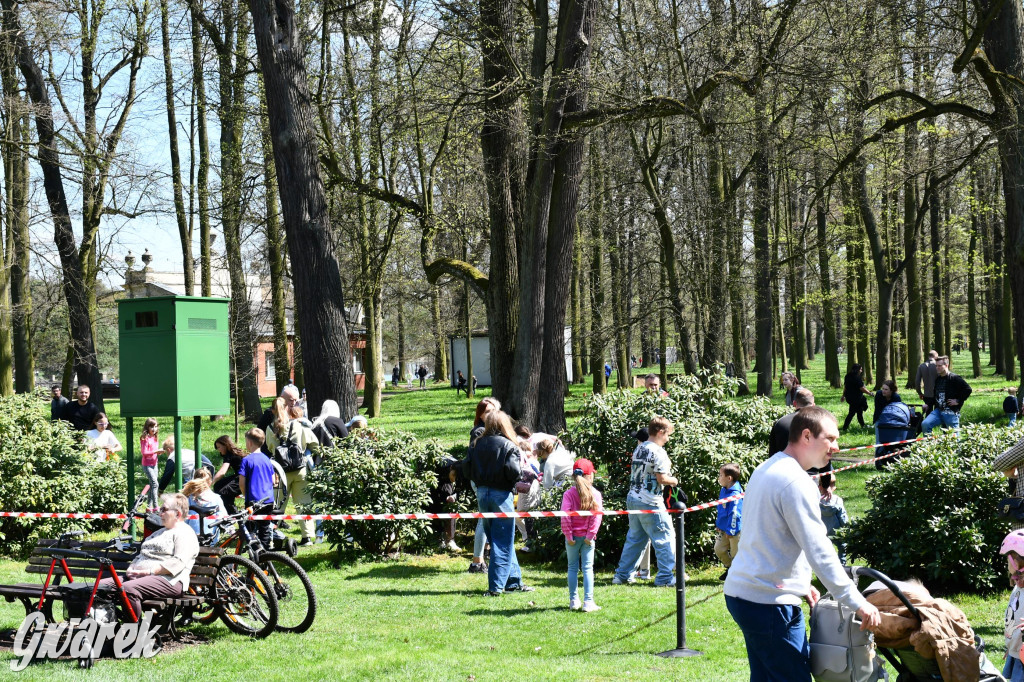 Świerklaniec. Wielkanocne szukanie jajek