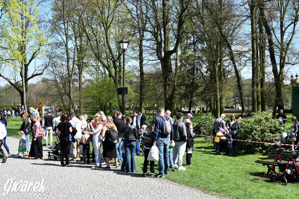 Świerklaniec. Wielkanocne szukanie jajek