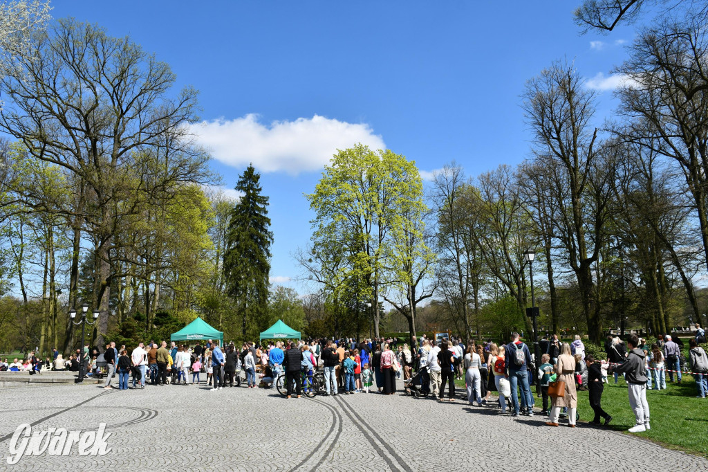 Świerklaniec. Wielkanocne szukanie jajek