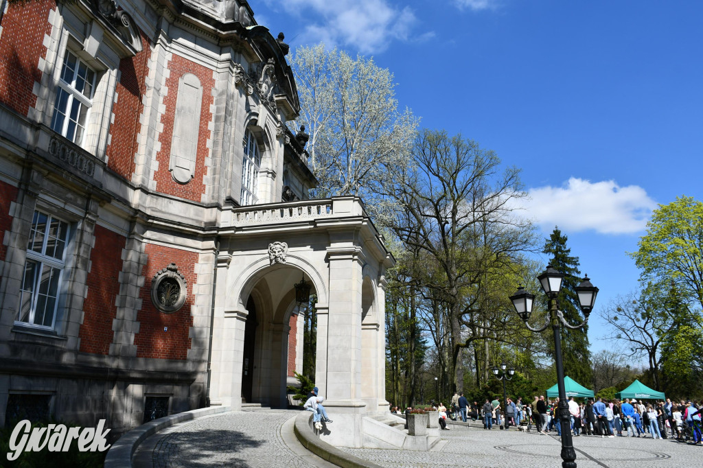 Świerklaniec. Wielkanocne szukanie jajek