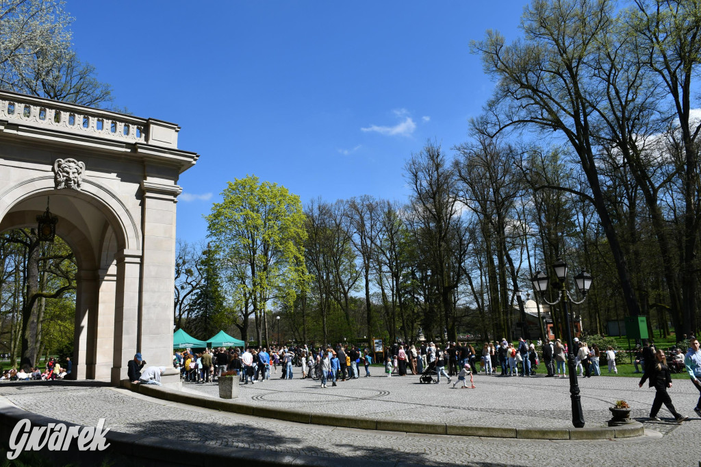 Świerklaniec. Wielkanocne szukanie jajek