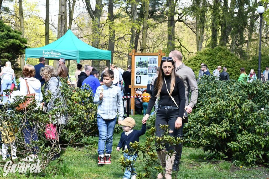 Świerklaniec. Wielkanocne szukanie jajek