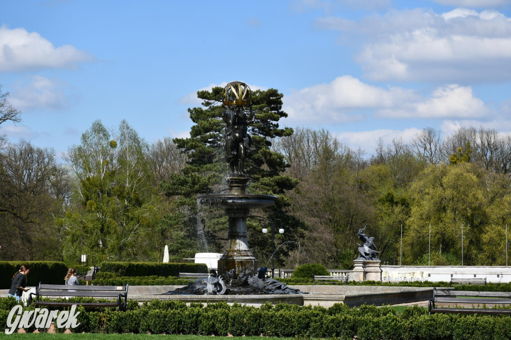 Japońska legenda w świerklanieckim parku [FOTO]