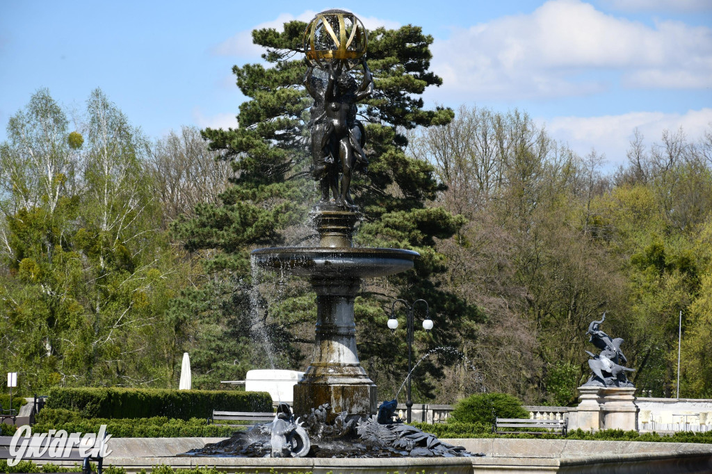 Japońska legenda w świerklanieckim parku [FOTO]