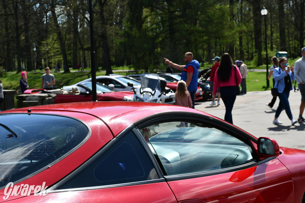 Japońska legenda w świerklanieckim parku [FOTO]