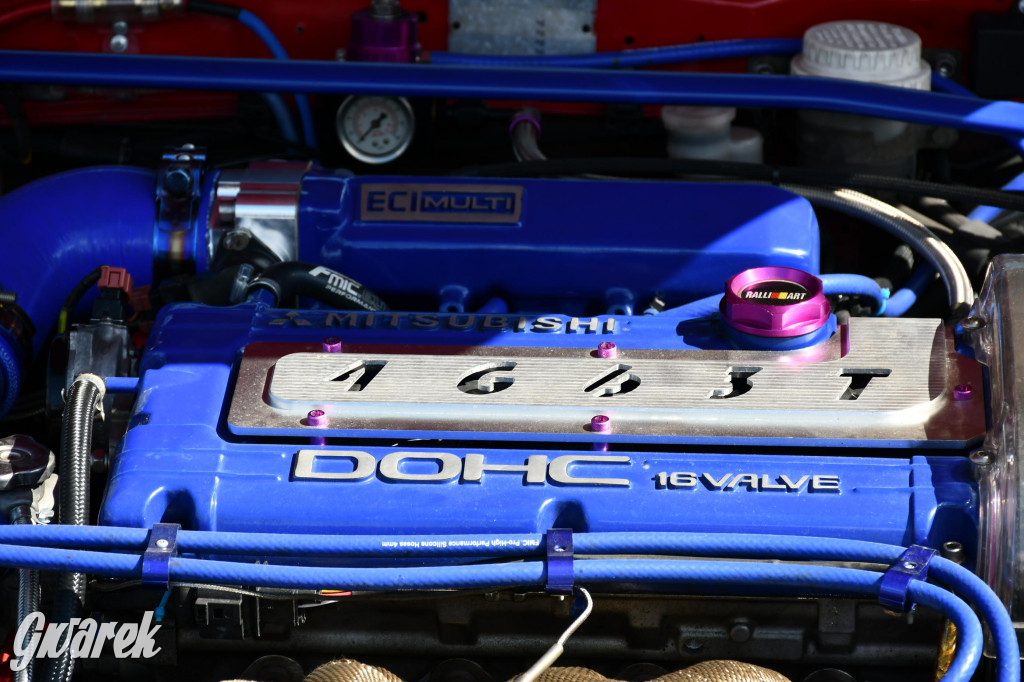 Japońska legenda w świerklanieckim parku [FOTO]