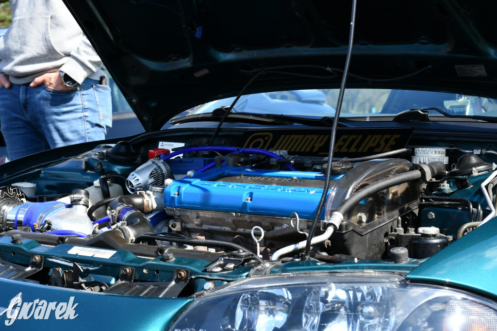 Japońska legenda w świerklanieckim parku [FOTO]