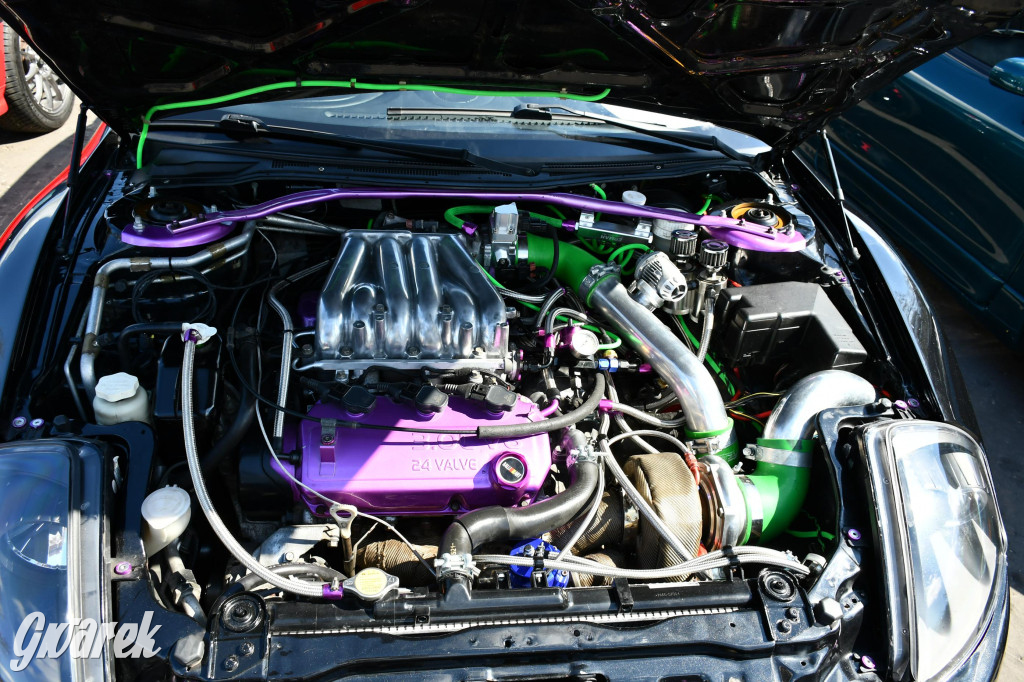 Japońska legenda w świerklanieckim parku [FOTO]