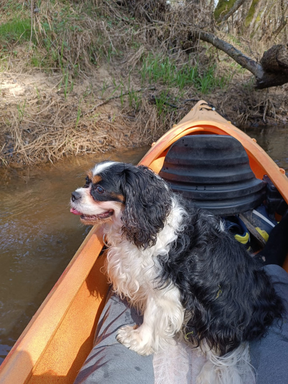Nasz mieszkaniec popłynie kajakiem do Świnoujścia!