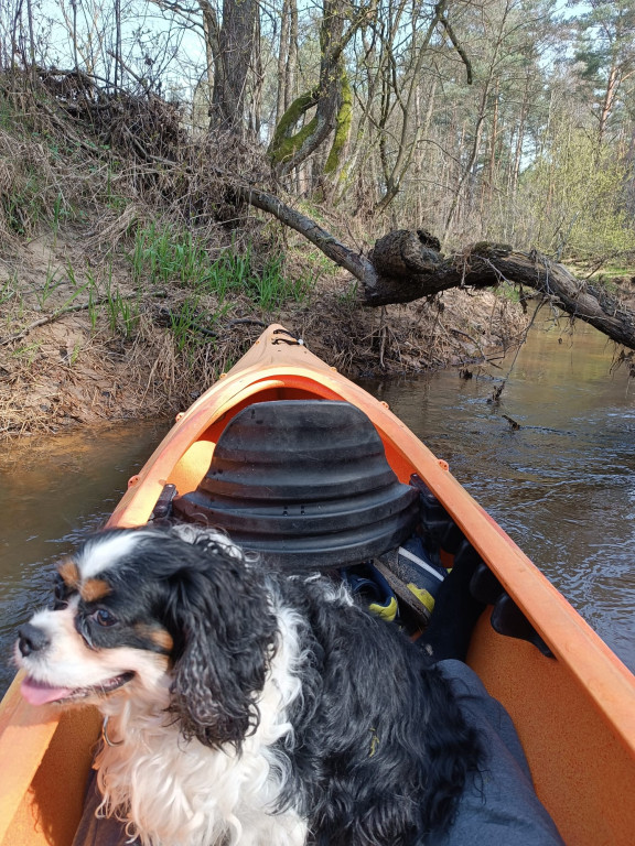 Nasz mieszkaniec popłynie kajakiem do Świnoujścia!