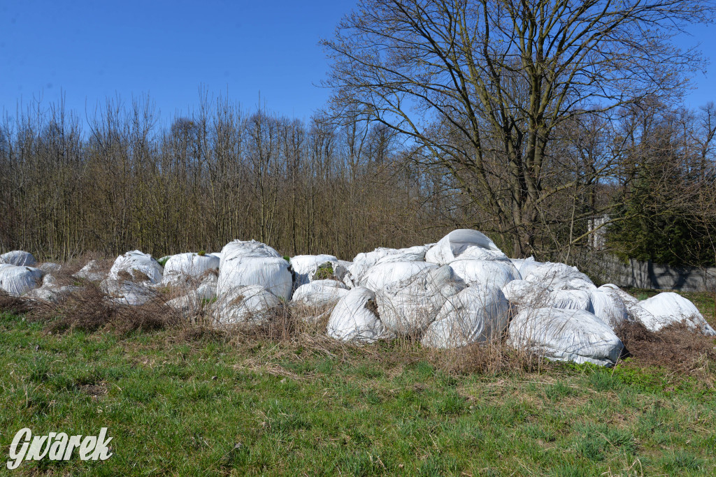 Nakło Śląskie. Kto posprząta śmierdzące odpady?