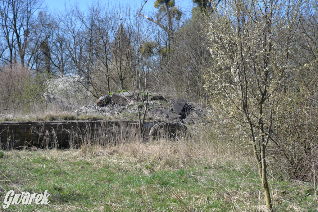 Nakło Śląskie. Kto posprząta śmierdzące odpady?