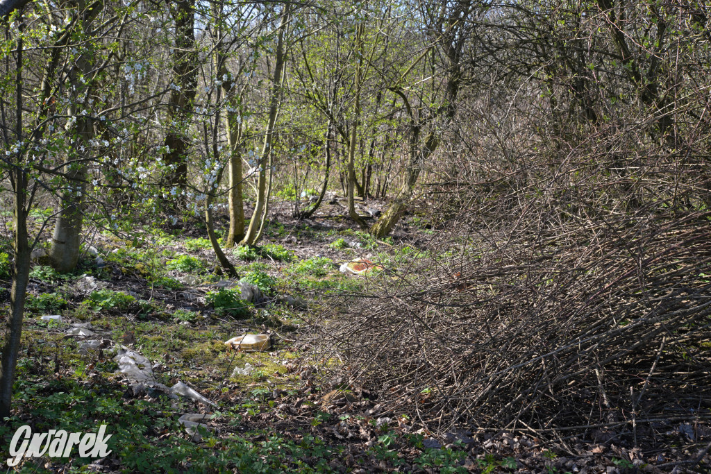 Nakło Śląskie. Kto posprząta śmierdzące odpady?