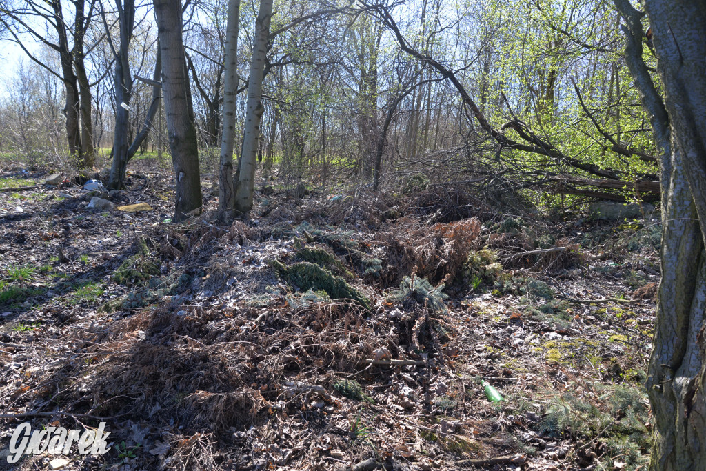 Nakło Śląskie. Kto posprząta śmierdzące odpady?