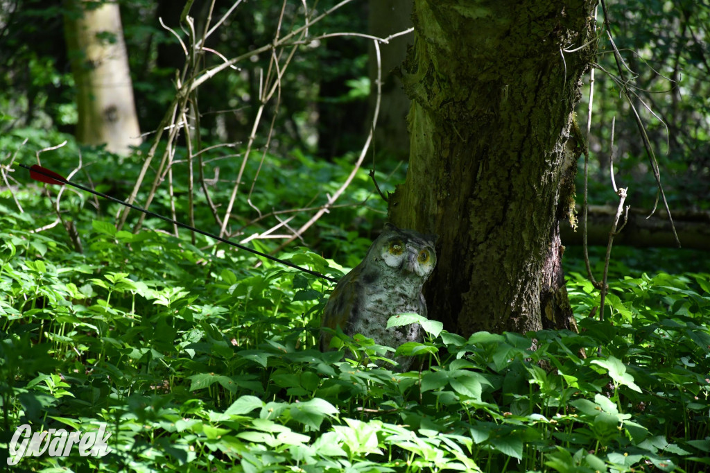 Sportowe święto w Brynku. Cele łucznicze 3D
