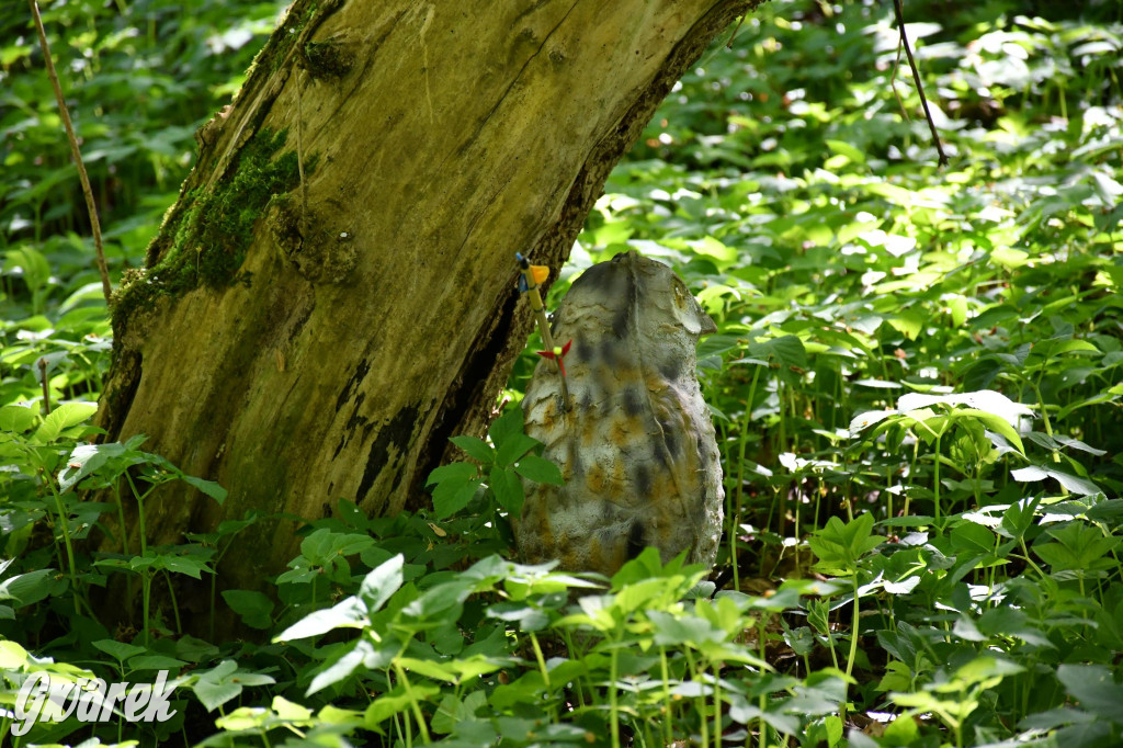 Sportowe święto w Brynku. Cele łucznicze 3D