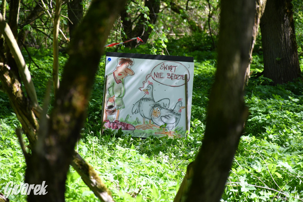 Sportowe święto w Brynku. Cele łucznicze 3D