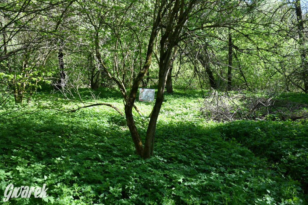 Sportowe święto w Brynku. Cele łucznicze 3D