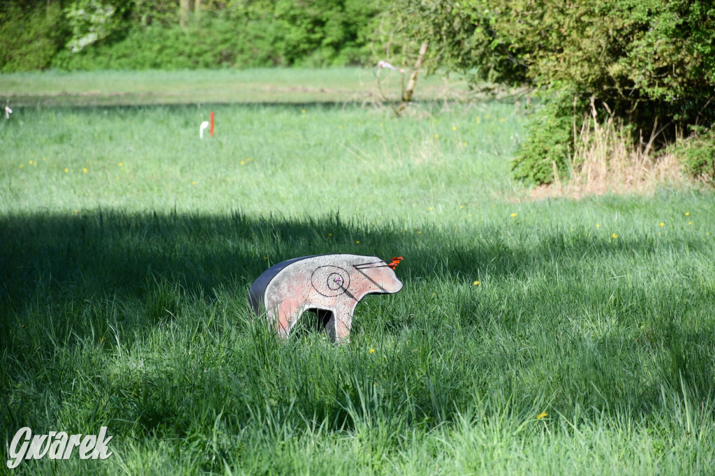 Sportowe święto w Brynku. Cele łucznicze 3D