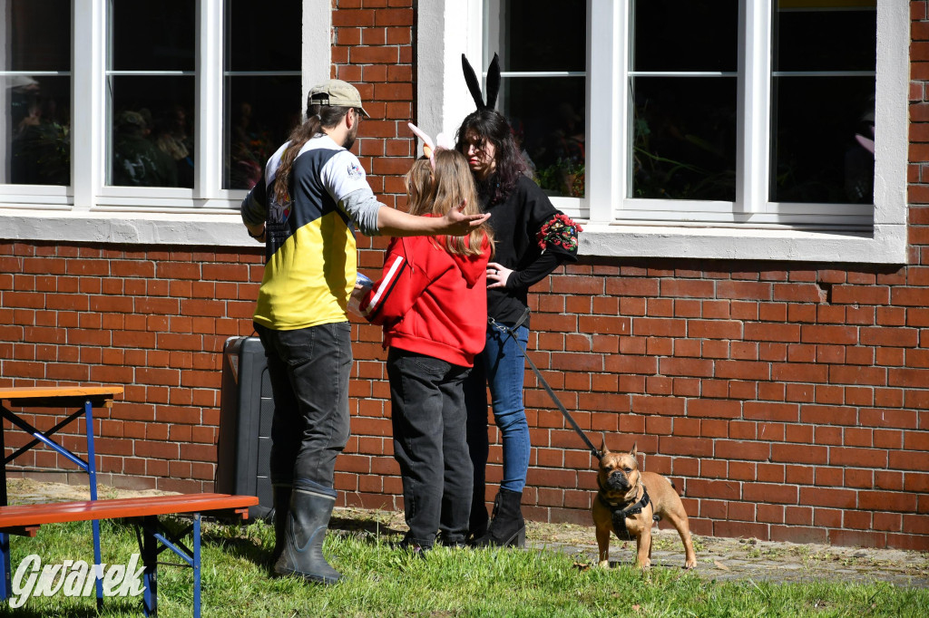 Sportowe święto w Brynku. Cele łucznicze 3D