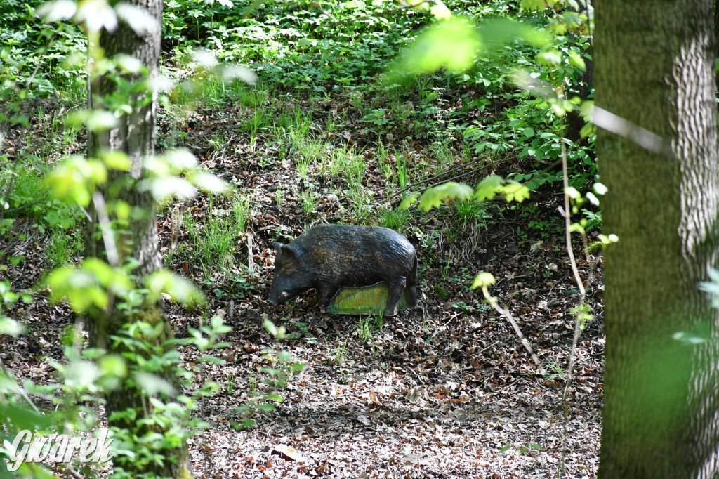 Sportowe święto w Brynku. Cele łucznicze 3D