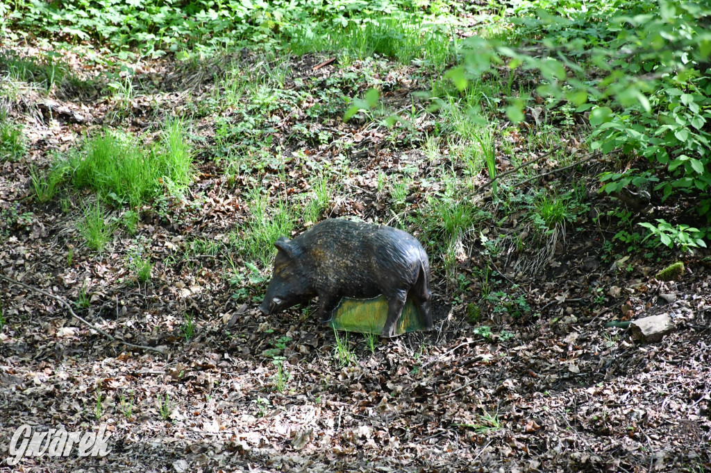 Sportowe święto w Brynku. Cele łucznicze 3D