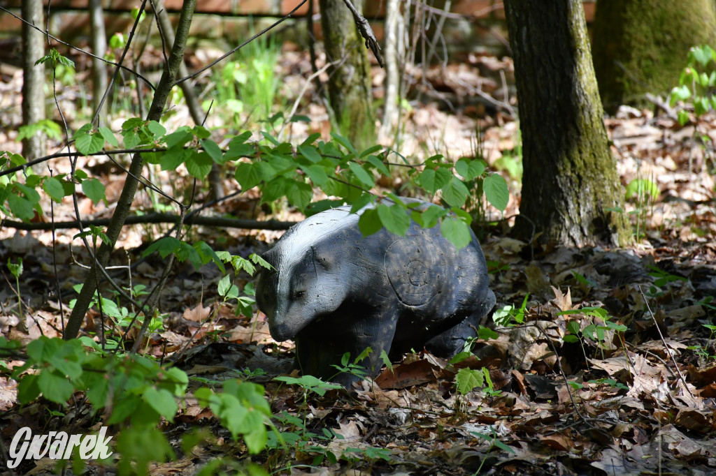 Sportowe święto w Brynku. Cele łucznicze 3D