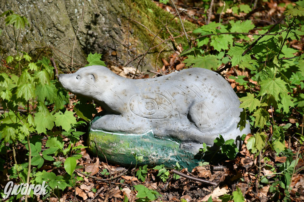 Sportowe święto w Brynku. Cele łucznicze 3D