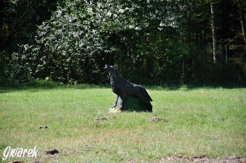 Sportowe święto w Brynku. Cele łucznicze 3D
