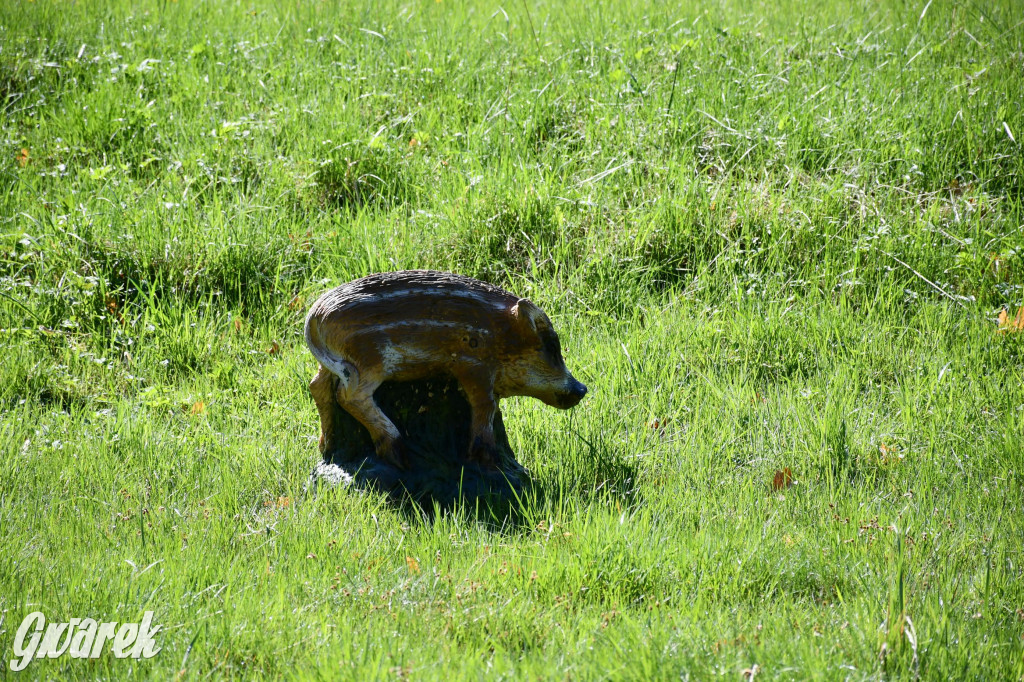 Sportowe święto w Brynku. Cele łucznicze 3D