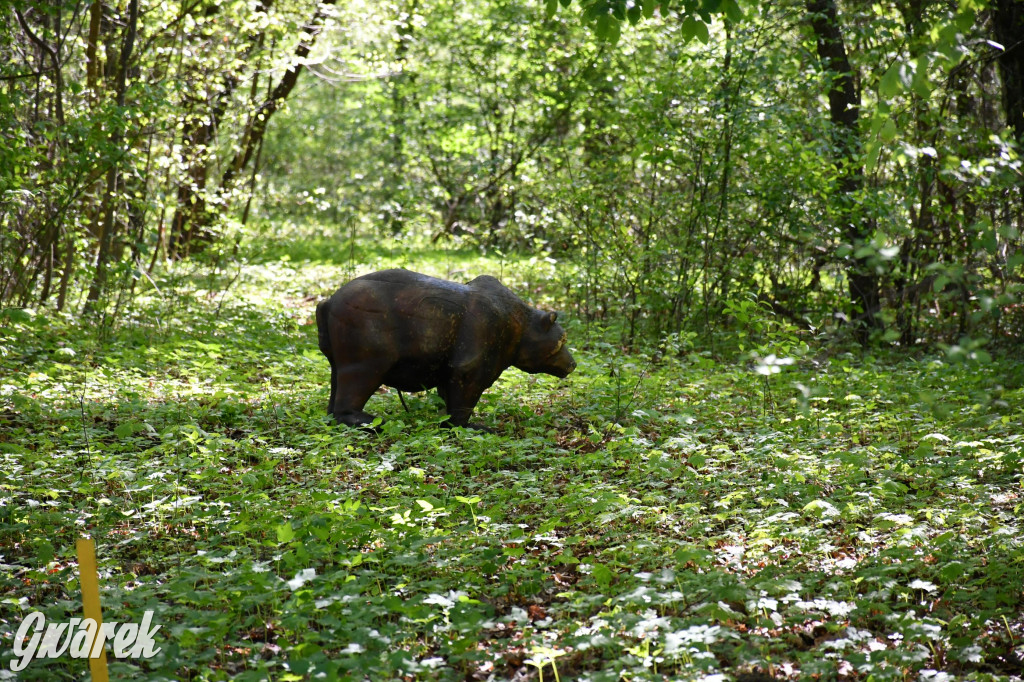 Sportowe święto w Brynku. Cele łucznicze 3D