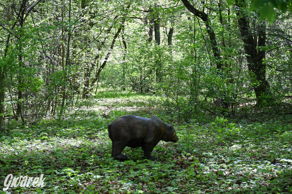 Sportowe święto w Brynku. Cele łucznicze 3D