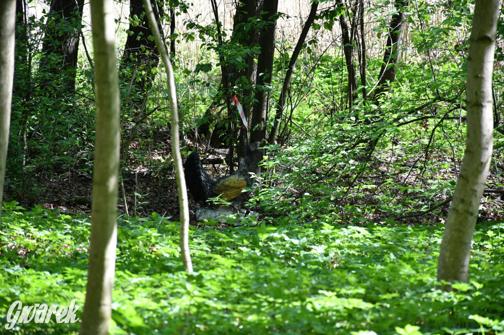 Sportowe święto w Brynku. Cele łucznicze 3D