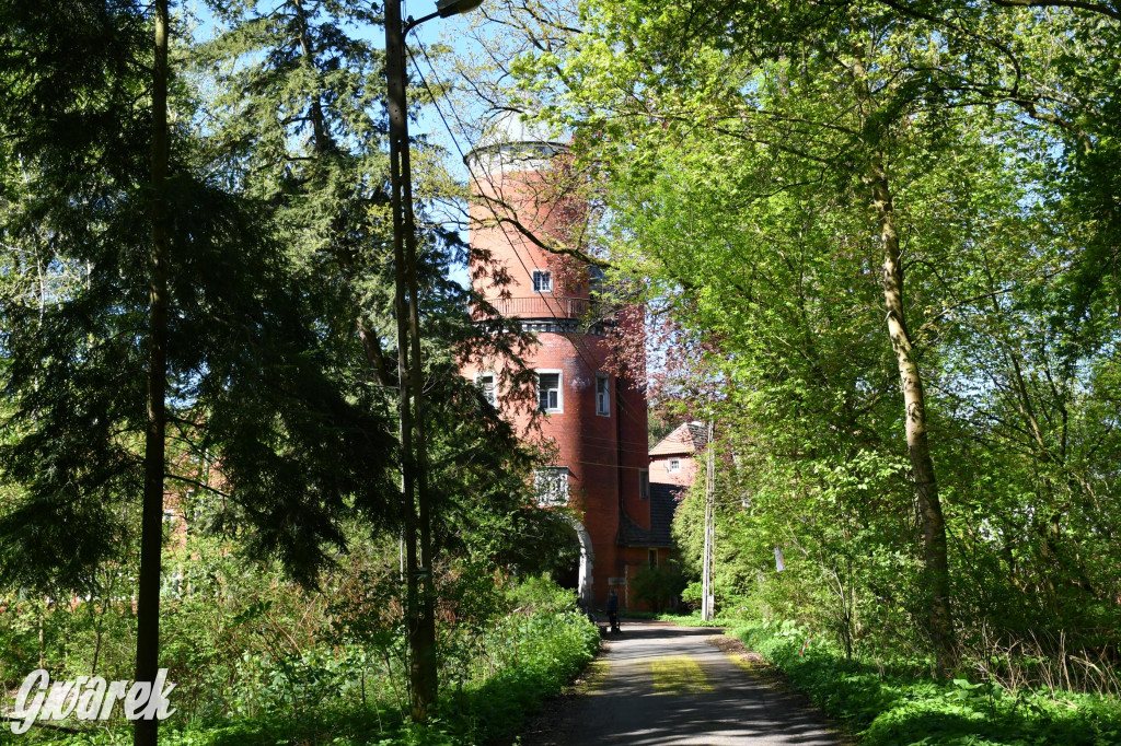 Sportowe święto w Brynku. Cele łucznicze 3D