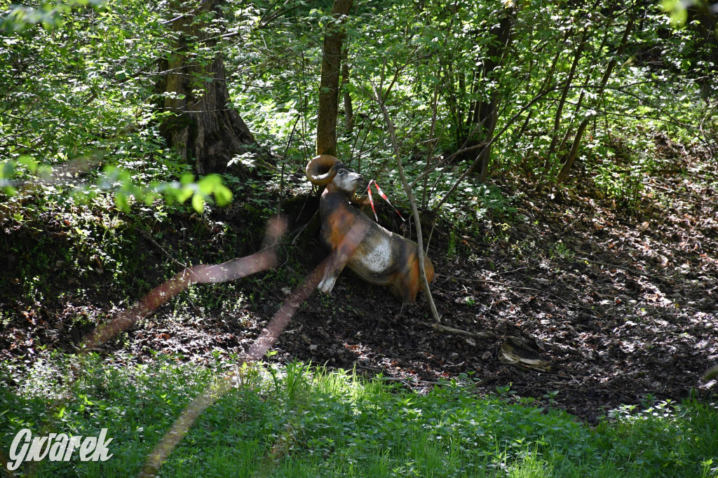 Sportowe święto w Brynku. Cele łucznicze 3D