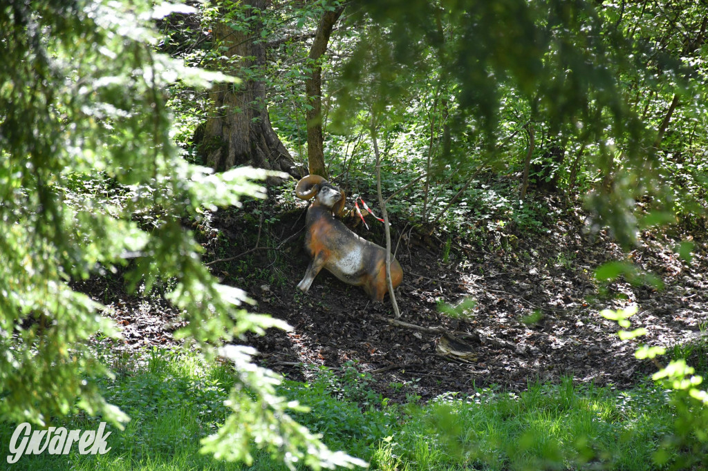 Sportowe święto w Brynku. Cele łucznicze 3D
